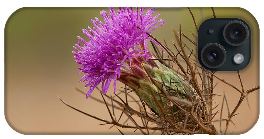 Flower iPhone Case featuring the photograph Beautiful Distaff-thistle by Yuri Peress