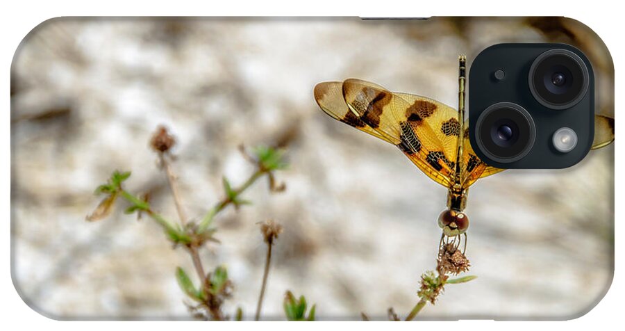 Dragonfly iPhone Case featuring the photograph Beautiful Dragonfly by Wolfgang Stocker