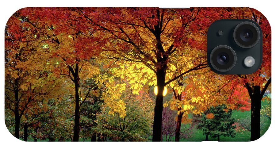 Autumn iPhone Case featuring the photograph Beautiful Light at the Park in St. Louis in Autumn by Wernher Krutein
