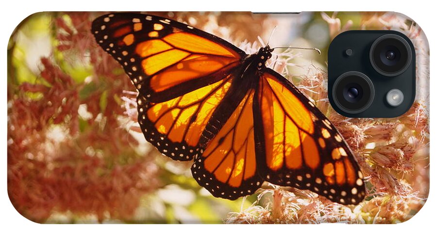 Butterfly iPhone Case featuring the photograph Beautiful Monarch by Beth Collins