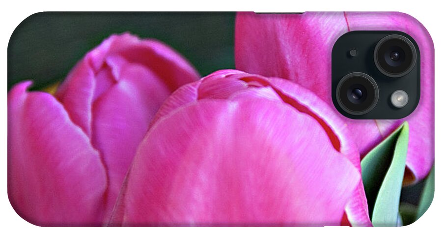 Tulips iPhone Case featuring the photograph Beautiful Pink Lipstick by Sherry Hallemeier