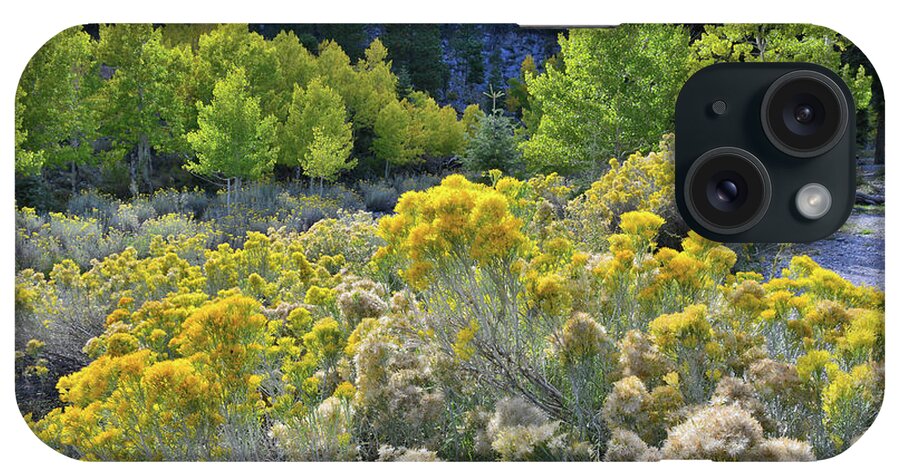 Humboldt-toiyabe National Forest iPhone Case featuring the photograph Beautiful Rabbitbrush in Mt. Charleston Basin by Ray Mathis