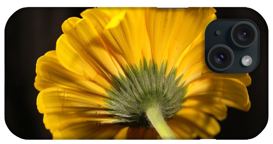 Flora iPhone Case featuring the photograph Beautiful underside by Jeff Swan