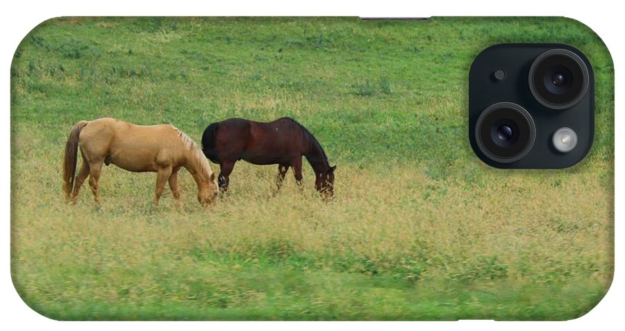 Horses iPhone Case featuring the photograph Beautiful by Yumi Johnson