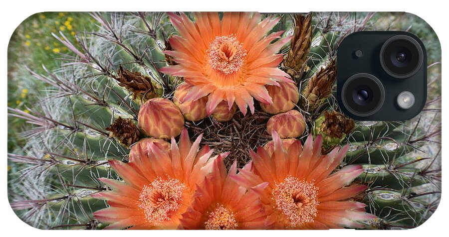 Arizona iPhone Case featuring the photograph Beauty Among The Thorns by Janet Marie