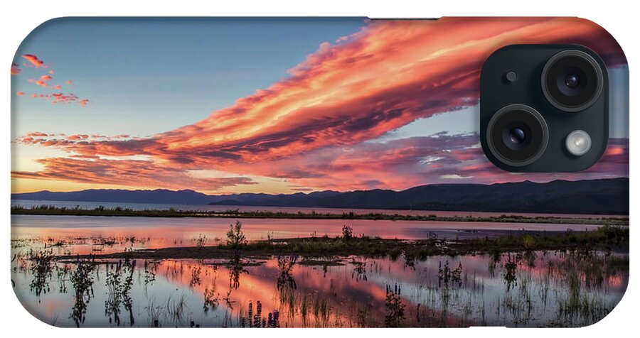Beauty In A Wicked World iPhone Case featuring the photograph Beauty In A Wicked World by Mitch Shindelbower