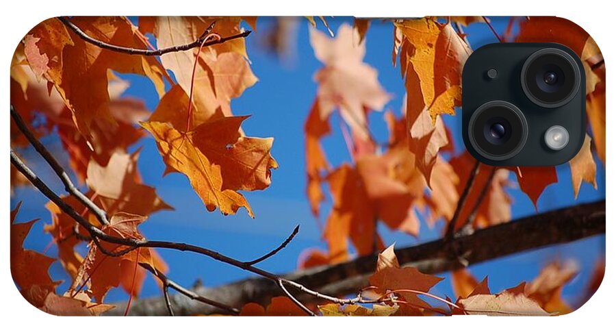 Leaves iPhone Case featuring the photograph Beauty in Nature by Robert Meanor