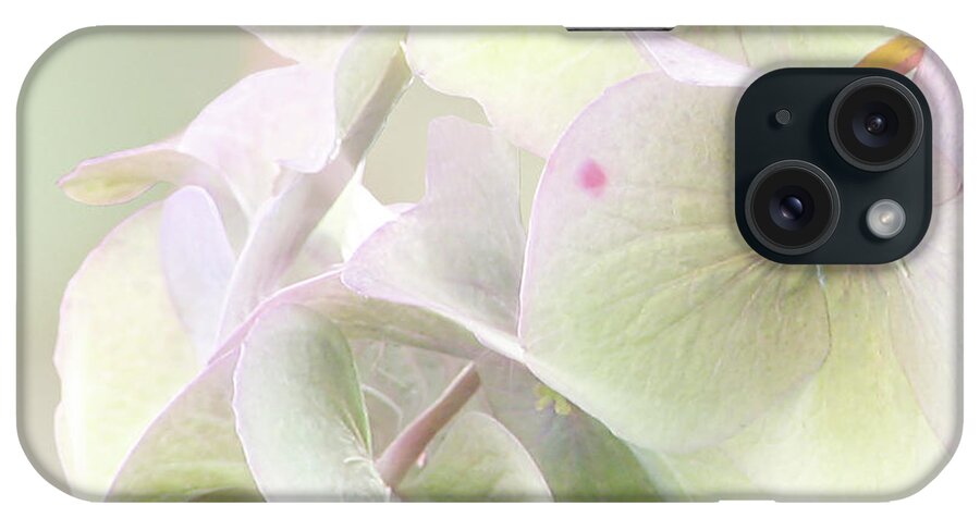 Flower iPhone Case featuring the photograph Beauty Mark by John Poon