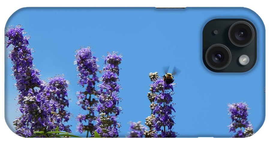 Flower iPhone Case featuring the photograph Beauty Of The Bee by Jan Gelders