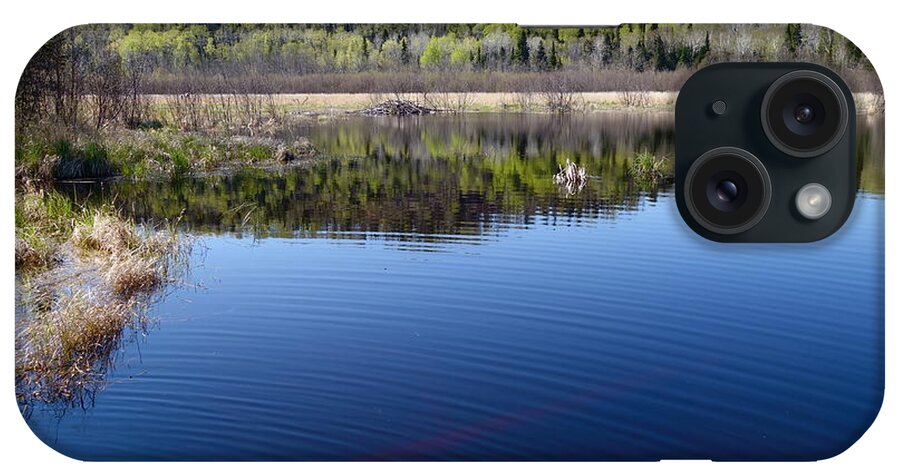 Beaver Pond iPhone Case featuring the photograph Beaver Pond Beauty by Sandra Updyke