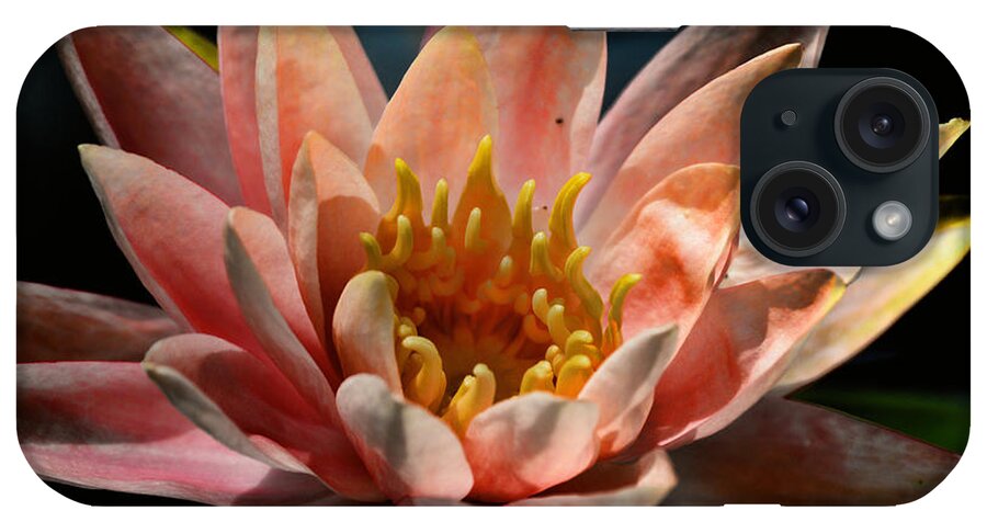 Water Lily iPhone Case featuring the photograph Beckoning The Sun Water Lily by Lesa Fine