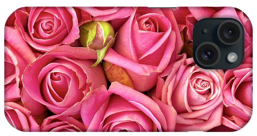Abstract iPhone Case featuring the photograph Bed Of Roses by Carlos Caetano