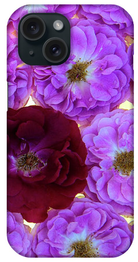 Jigsaw Puzzle iPhone Case featuring the photograph Bed of Roses2 by Carole Gordon