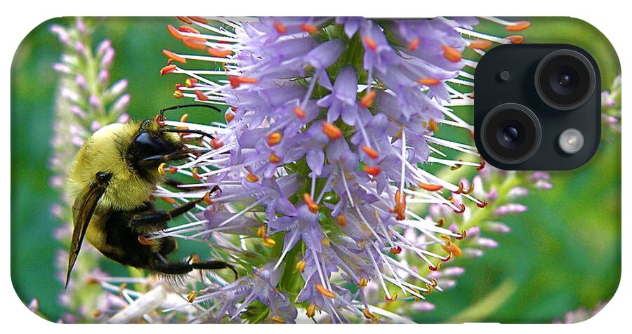 Bee iPhone Case featuring the photograph Bee And Its Lavender Delight by Byron Varvarigos