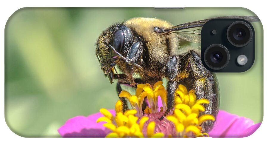 Bee iPhone Case featuring the photograph Bee Dream by Bruce Pritchett