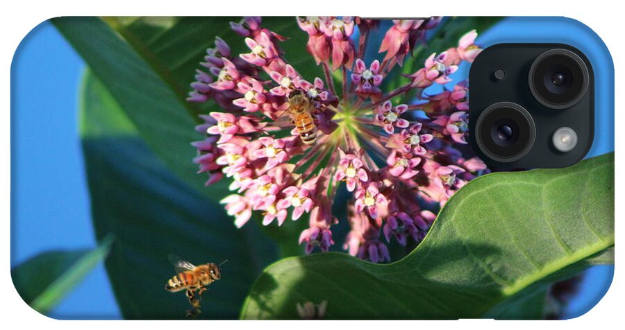 Bee iPhone Case featuring the photograph Bee Flying to Milkweed in Elgin Illinois by Colleen Cornelius