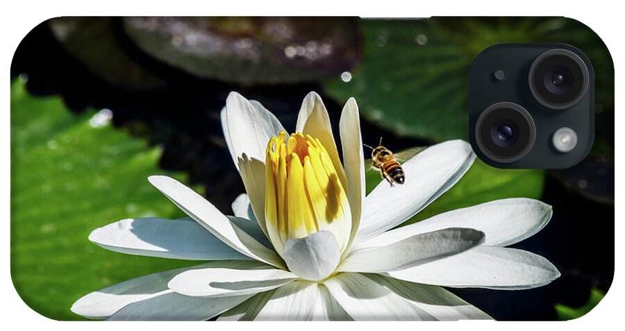 Lily iPhone Case featuring the photograph Bee in a flower by Les Greenwood