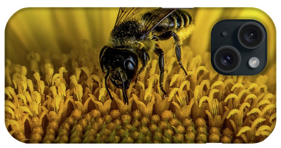 Bee iPhone Case featuring the photograph Bee in a Sunflower by Paul Freidlund
