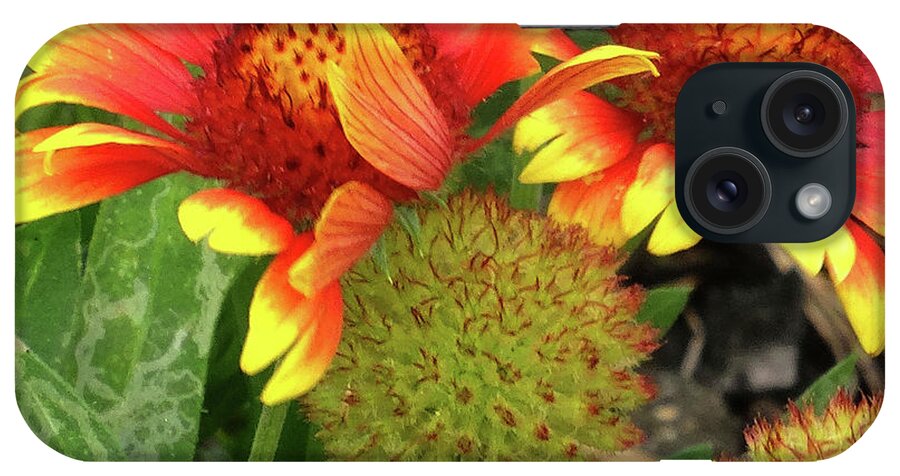 Floral iPhone Case featuring the photograph Bee on colorful flowers by Mikki Cucuzzo