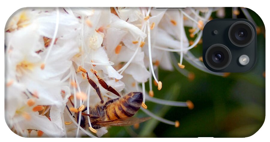Flower iPhone Case featuring the photograph Bee on Flowers 1 by Amy Fose