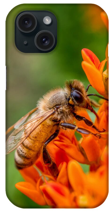 Bee On The Flower iPhone Case featuring the photograph Bee on orange flower by Lilia S