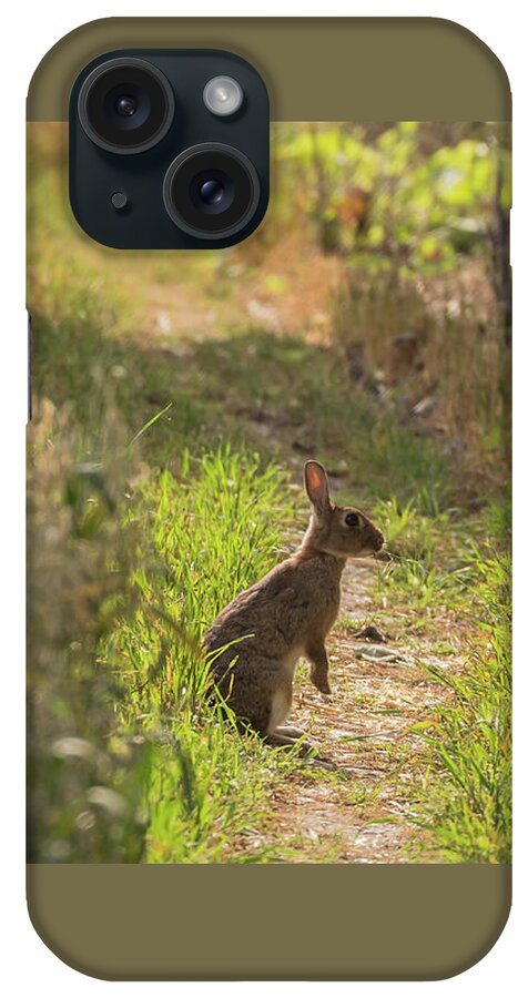 Nature iPhone Case featuring the photograph Been Spotted by Wendy Cooper