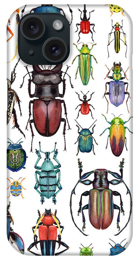 Bugs iPhone Case featuring the painting Beetle Collection by Kelly King