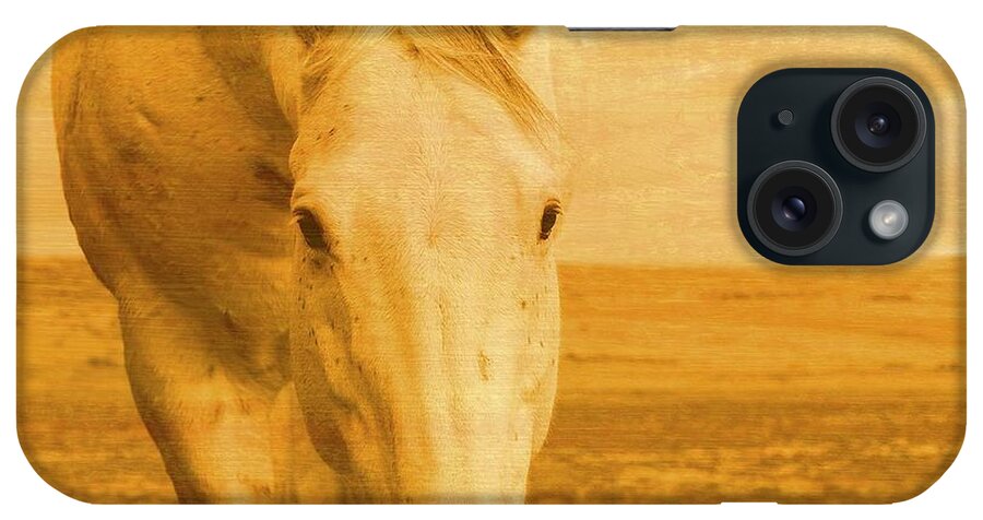 Yellow iPhone Case featuring the photograph Beggar in Yellow by Amanda Smith
