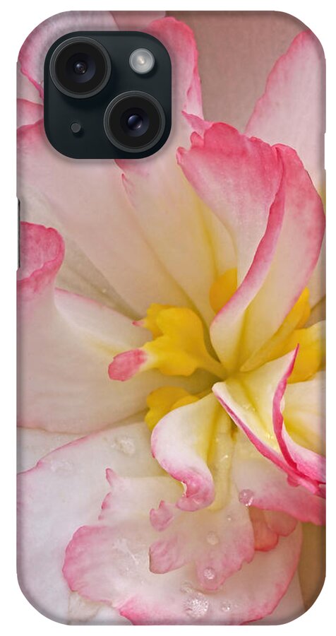 Begonia iPhone Case featuring the photograph Begonia Pink Frills - Vertival by Gill Billington