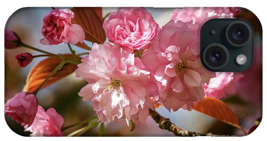 Pink Flowering Cherry iPhone Case featuring the photograph Being Pink - by Julie Weber