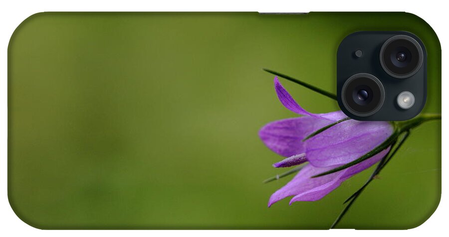Blue iPhone Case featuring the photograph Bell Flower by Richard Patmore