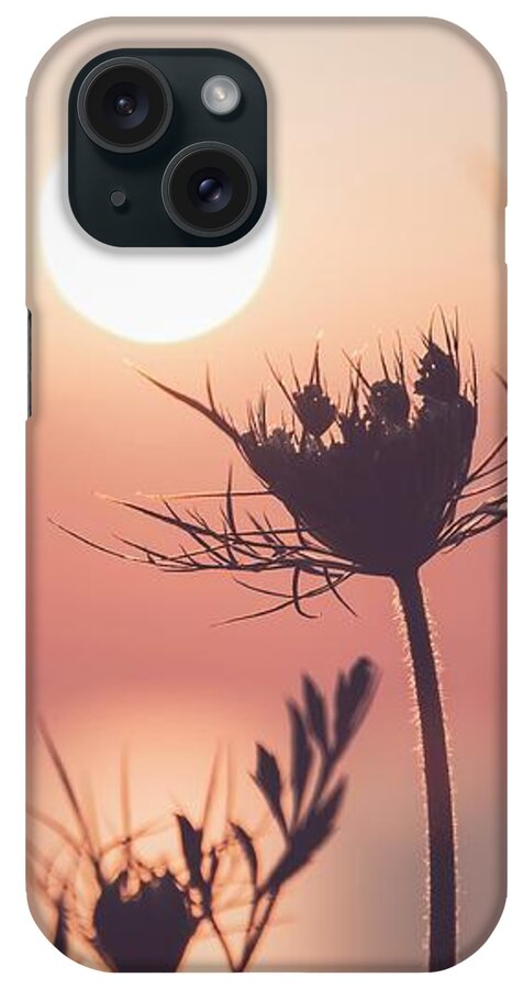 Lake iPhone Case featuring the photograph Bend to the light by Terri Hart-Ellis