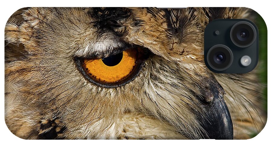 Bengal Eagle Owl iPhone Case featuring the photograph Bengal Eagle Owl by JT Lewis