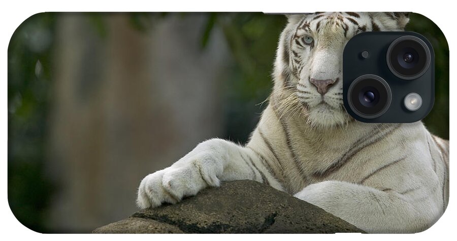 Mp iPhone Case featuring the photograph Bengal Tiger Panthera Tigris Tigris by Cyril Ruoso