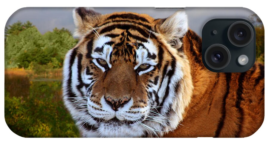 Bengal Tiger iPhone Case featuring the photograph Bengal Tiger Portrait by Michele A Loftus