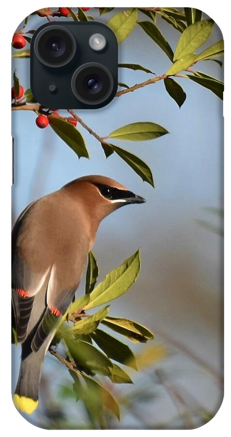 Cedar Waxwing iPhone Case featuring the photograph Berry Bandit by Chip Gilbert