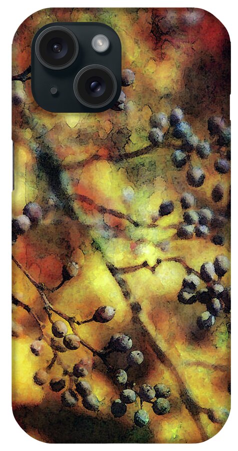 Berry iPhone Case featuring the photograph Berry Sunset 7191 IDP_2 by Steven Ward