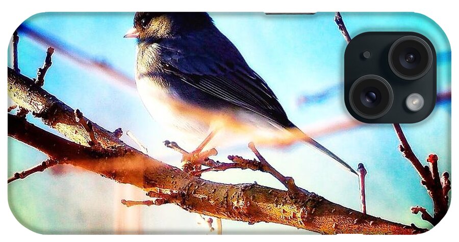 Bird iPhone Case featuring the photograph Bert the Bird by Shawn M Greener