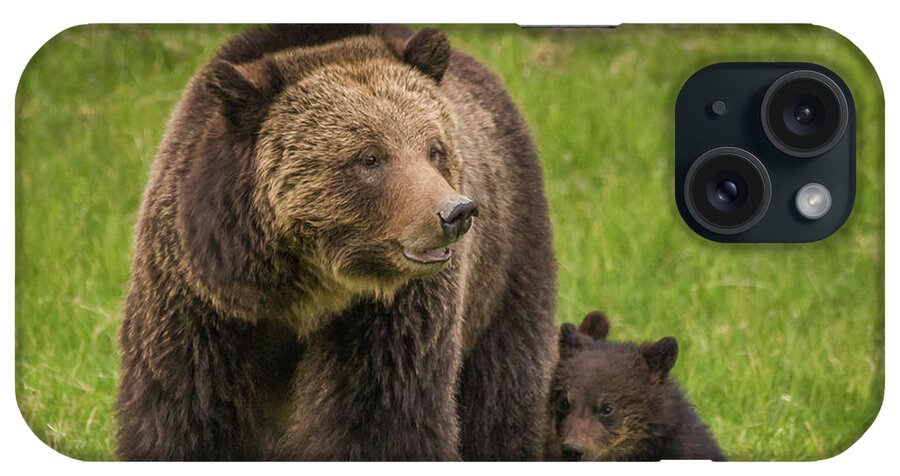 Spring iPhone Case featuring the photograph Beryl Grizzlies In Spring 2017 by Yeates Photography