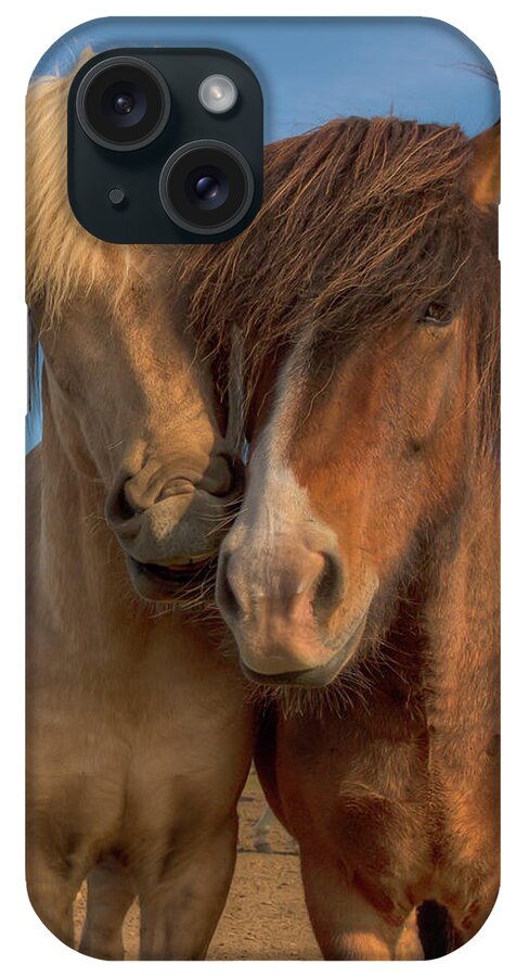 Icelandic Horse iPhone Case featuring the photograph Best Buddies 0643 by Kristina Rinell
