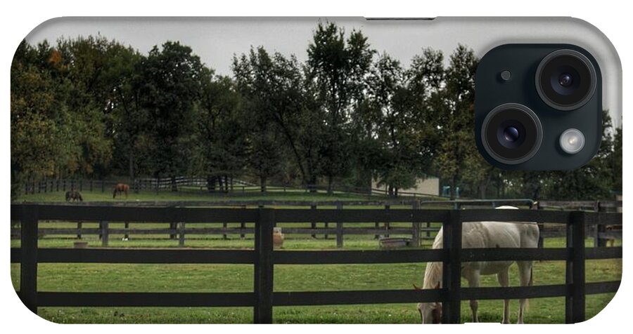 Horse iPhone Case featuring the photograph 1004 - Beyond the Fence White Horse by Sheryl L Sutter