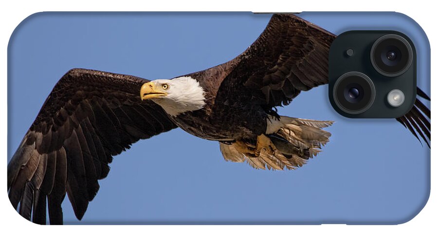 Bald Eagle iPhone Case featuring the photograph Big Eagle by Beth Sargent