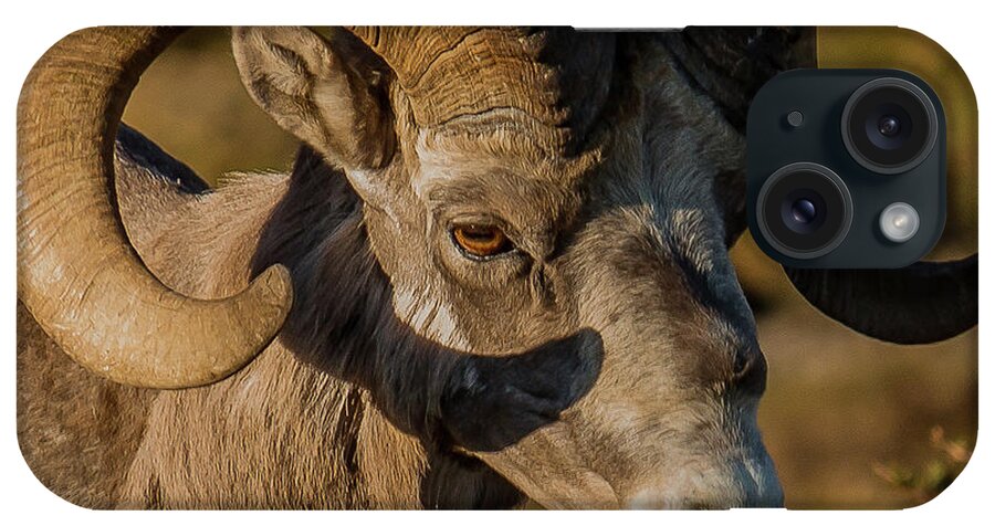 Ram iPhone Case featuring the photograph Big-Horn Ram In Summer by Yeates Photography