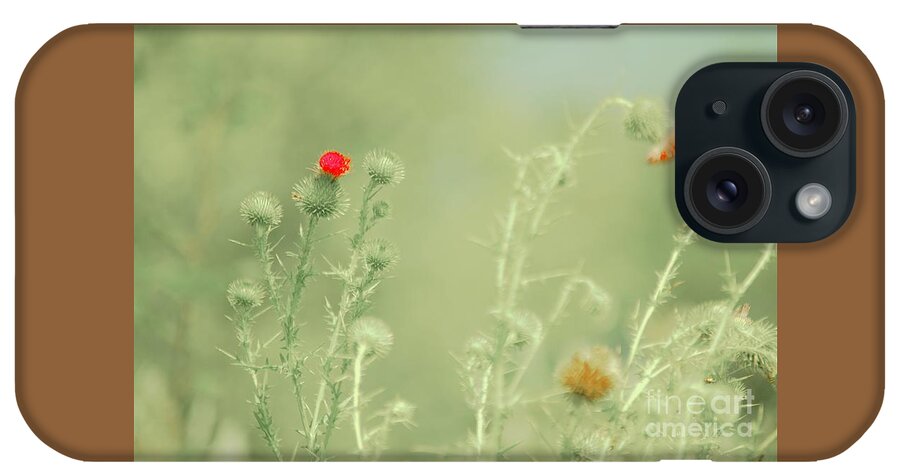 Thistles iPhone Case featuring the photograph Big red, Little red by Merle Grenz