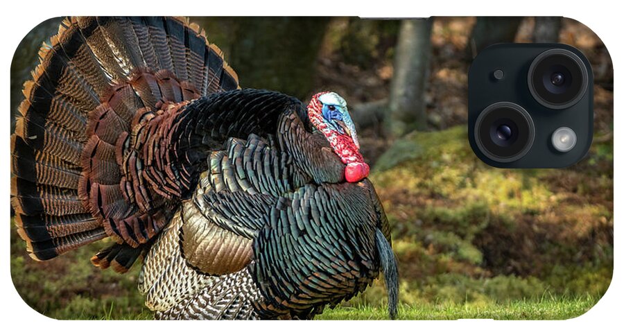 Turkey iPhone Case featuring the photograph Big Tom Turkey by Steven Upton
