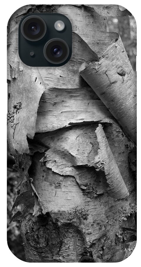 Birch iPhone Case featuring the photograph Birch Bark by John Meader