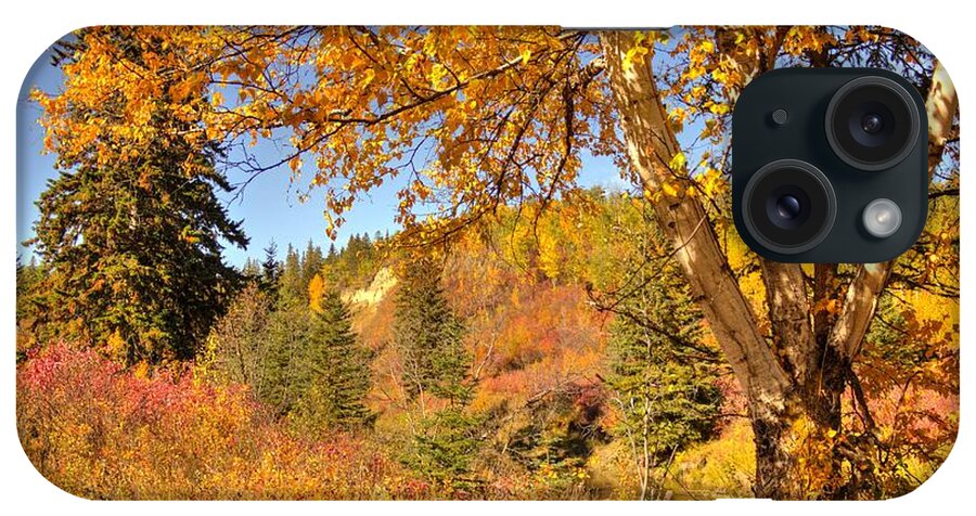Birch Tree iPhone Case featuring the photograph Birch Tree in Autumn by Jim Sauchyn