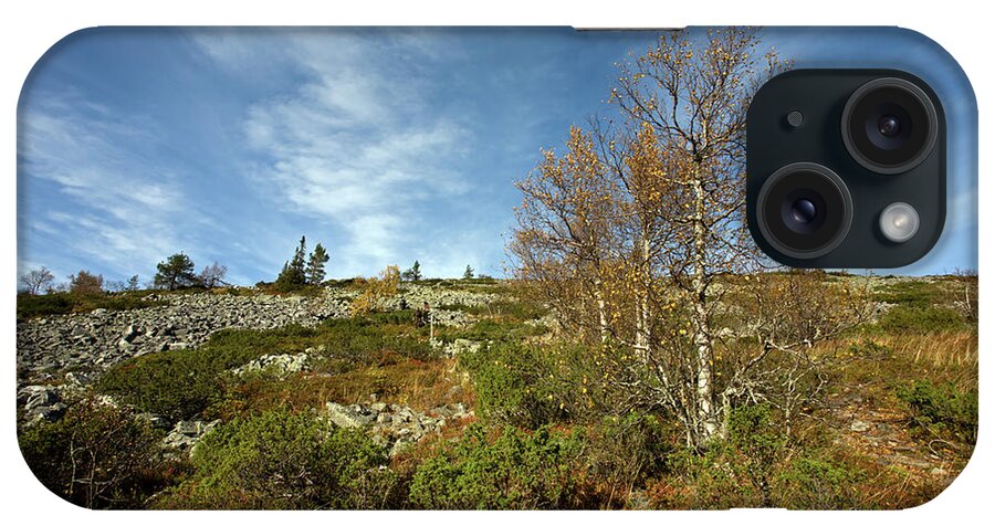 Noitatunturi iPhone Case featuring the photograph Birches in Noitatunturi by Aivar Mikko