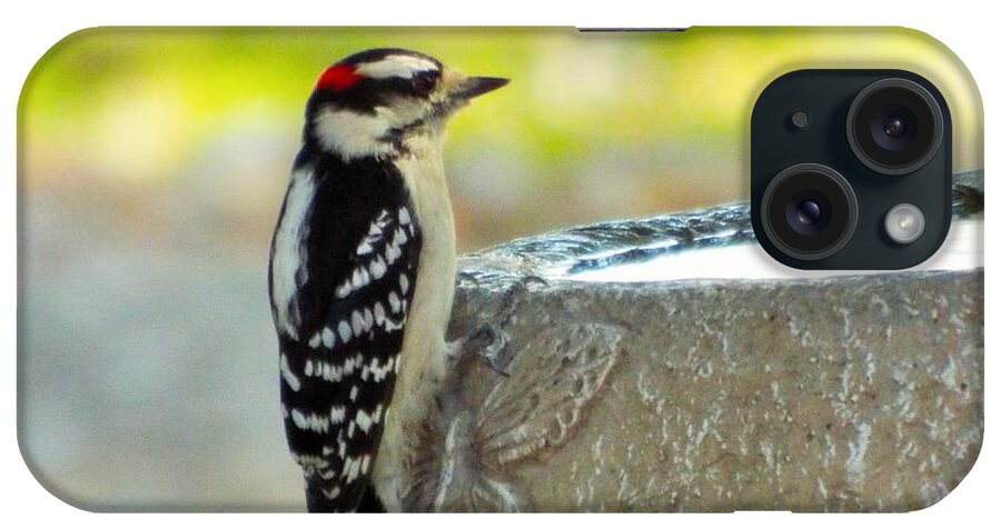 Woodpecker iPhone Case featuring the photograph Bird in black and white and red by Michael Dillon