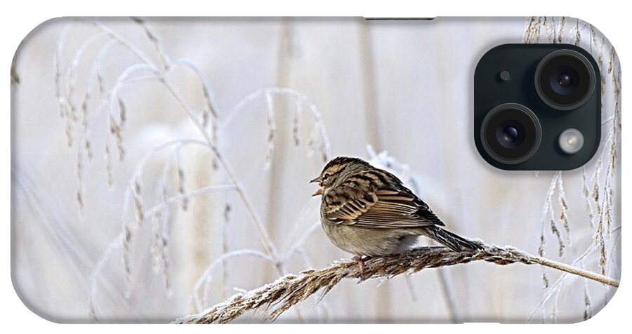 Birds iPhone Case featuring the photograph Bird in first Frost by Paul Ross